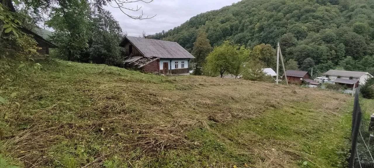 Будинок, Віженка: свердловина, приватизована земля, торг - фото 1