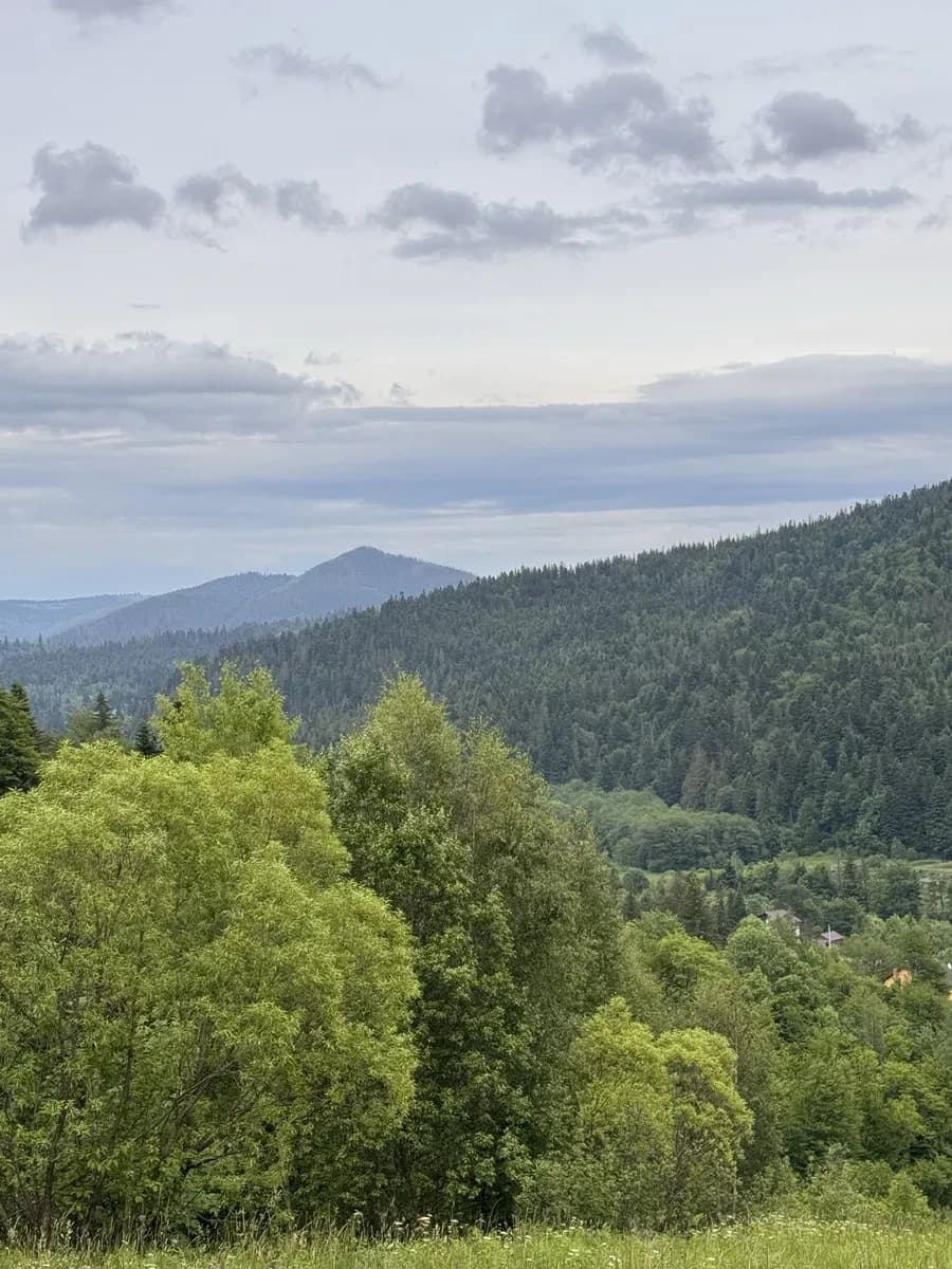 Ділянка 25 соток, Микуличин: під забудову, 600 м до дороги на Буковель - фото 2