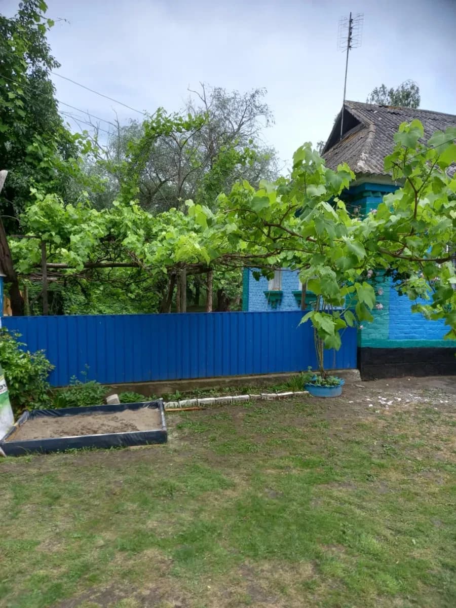 Будинок, Микулинці: берег річки, без сусідів, літня кухня - фото 1