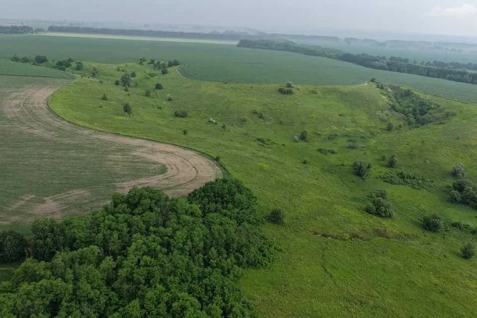 Ділянка 100 соток, Велика Бугаївка: ОСГ, парк Київська Русь поруч - фото 2