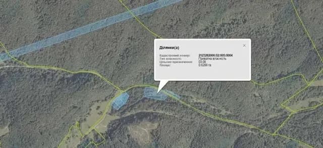 Ділянка 62 соток, Дубриничі: курорт Новоселиця, кордон зі Словаччиною - фото 1