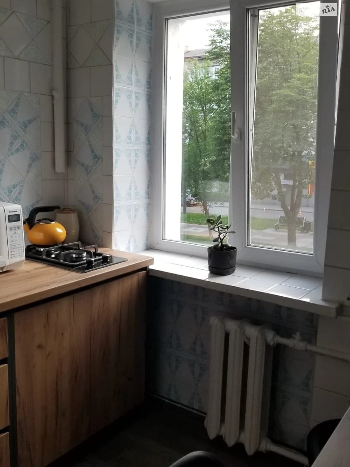1-кімнатна квартира, Вишенька: косметичний ремонт, вбудована кухня - фото 1
