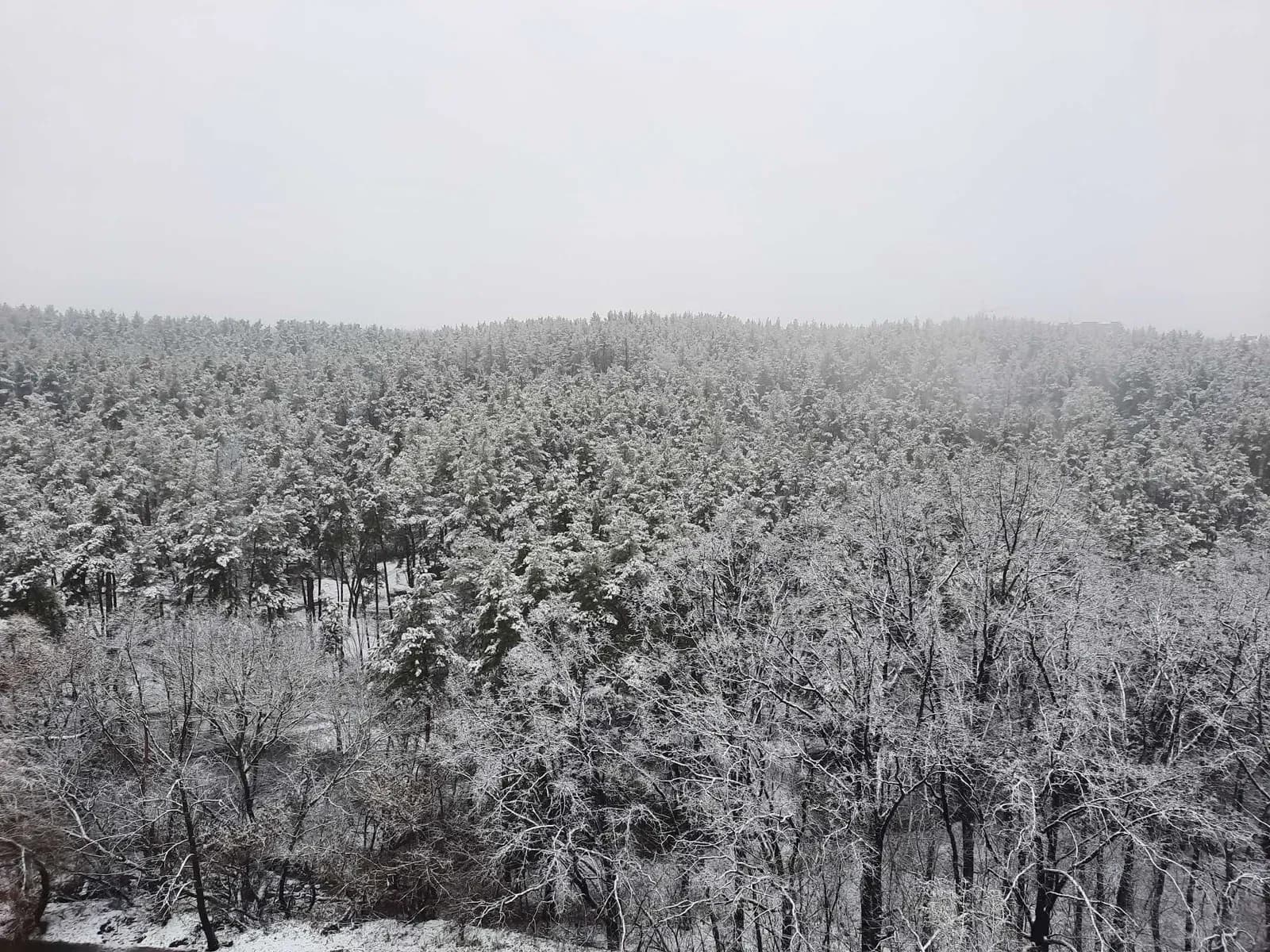 3-кімнатна квартира, Обухів: євроремонт, вид з вікон, паркомісце - фото 1