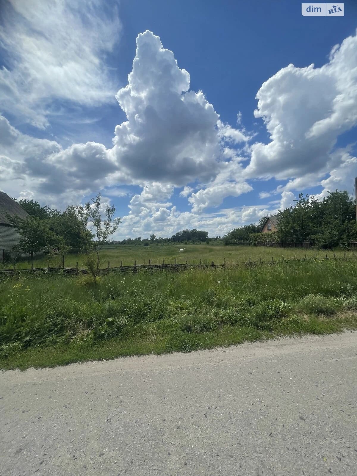 Ділянка 24 сотки, Ковалівка (Полтава): під житлову забудову, чорнозем - фото 3