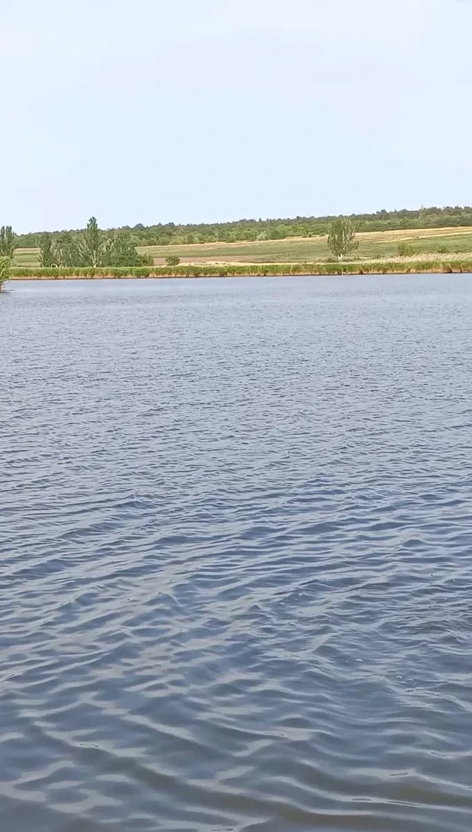 Дача, Інгульський: коробка з піноблоків, річка Інгул - фото 4