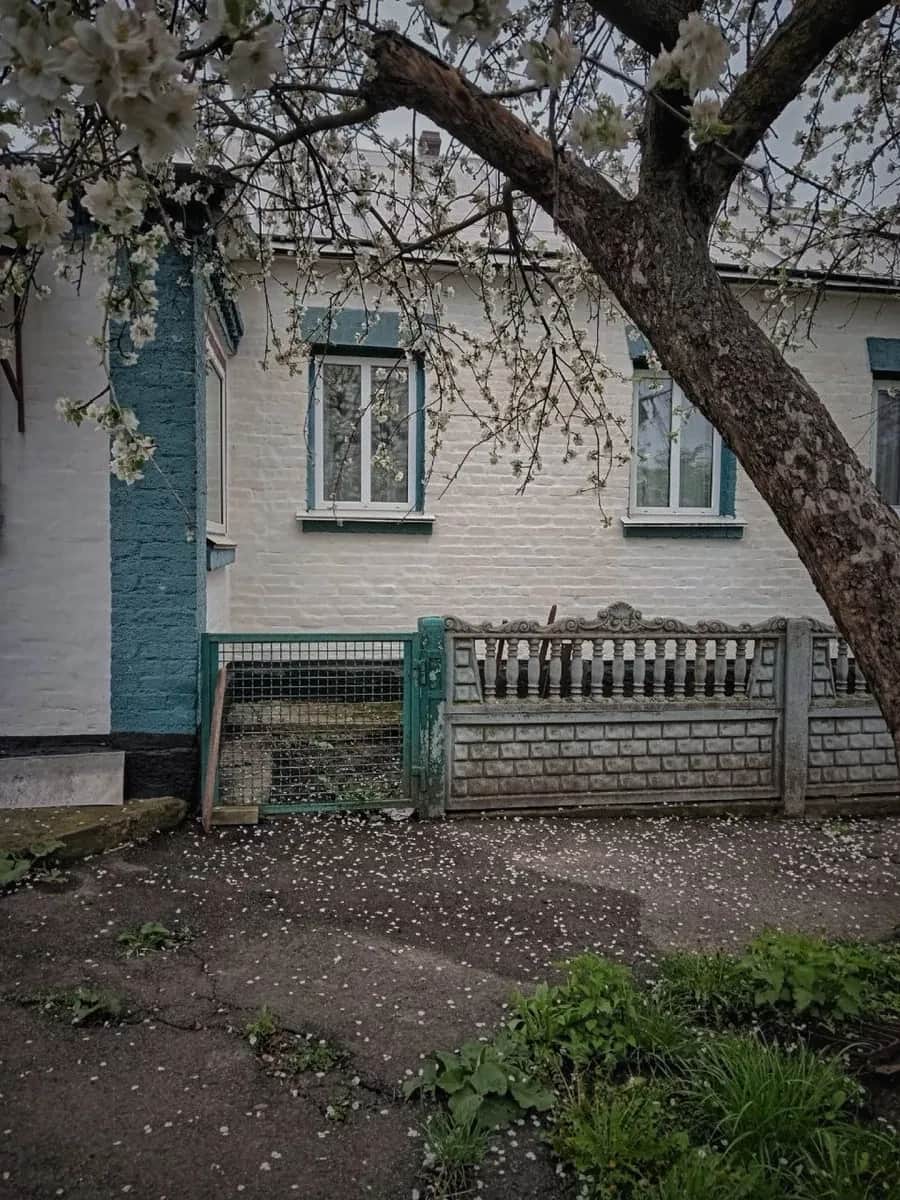Будинок, Кодаки: 40 км від Києва, газове опалення, гараж - фото 2
