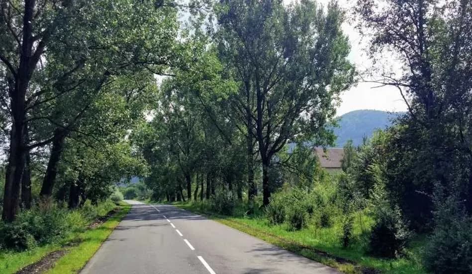 Ділянка 40 соток, Корчин: під каркасні будинки, вид на гори, електрика 17 кВт - фото 2