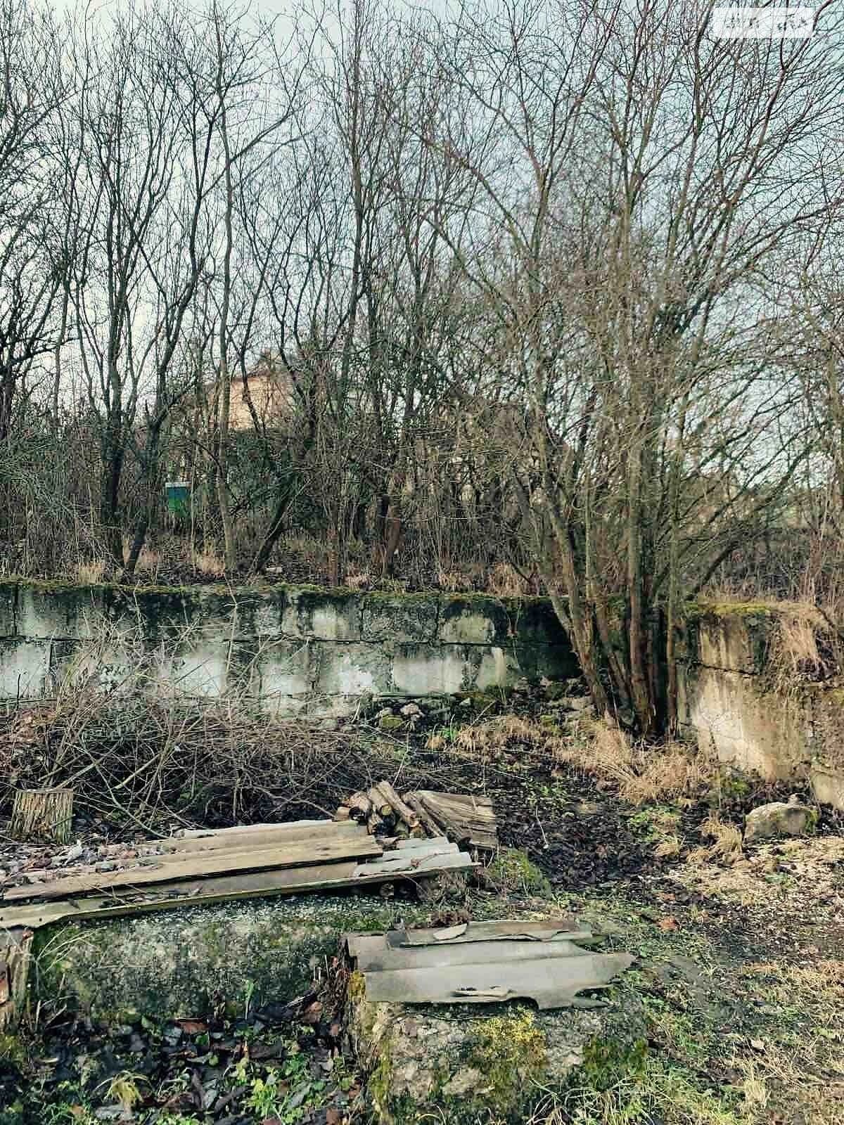 Ділянка 6 соток, Івашківці: сад, фундамент, чорнозем - фото 3