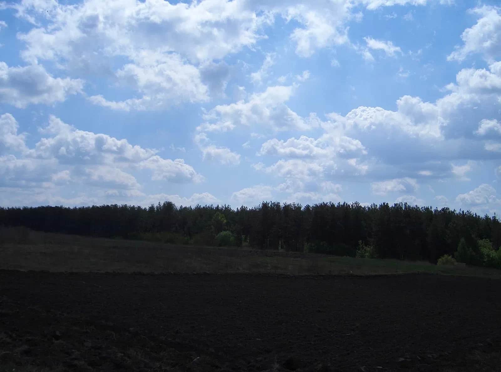 Ділянка 0.06 соток, Васильків: світло 380V, біля соснового лісу - фото 2