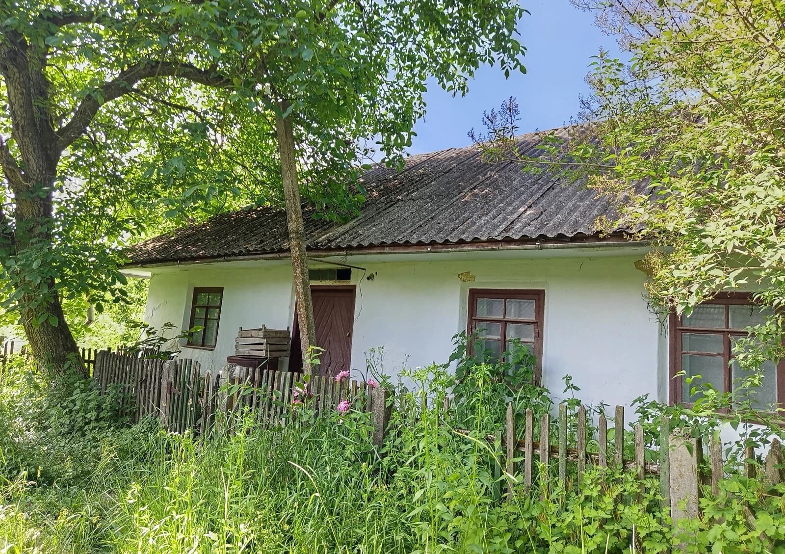 Будинок, Стасюки: 20 соток, глинобитні стіни - фото 1