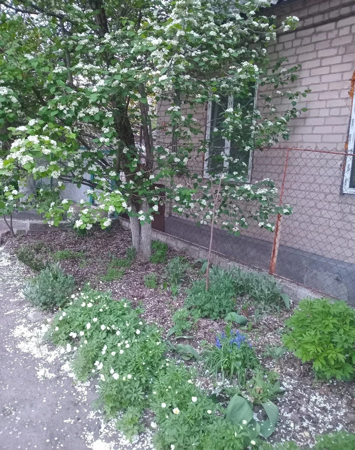 Частина будинку, Новокодацький: єВідновлення, гараж із підвалом - фото 2