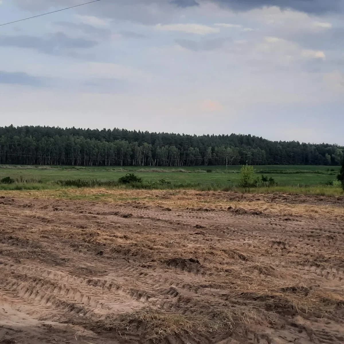 Ділянка 40 соток, Березань: ліс та озеро, Київ-Харків за 800 м - фото 1