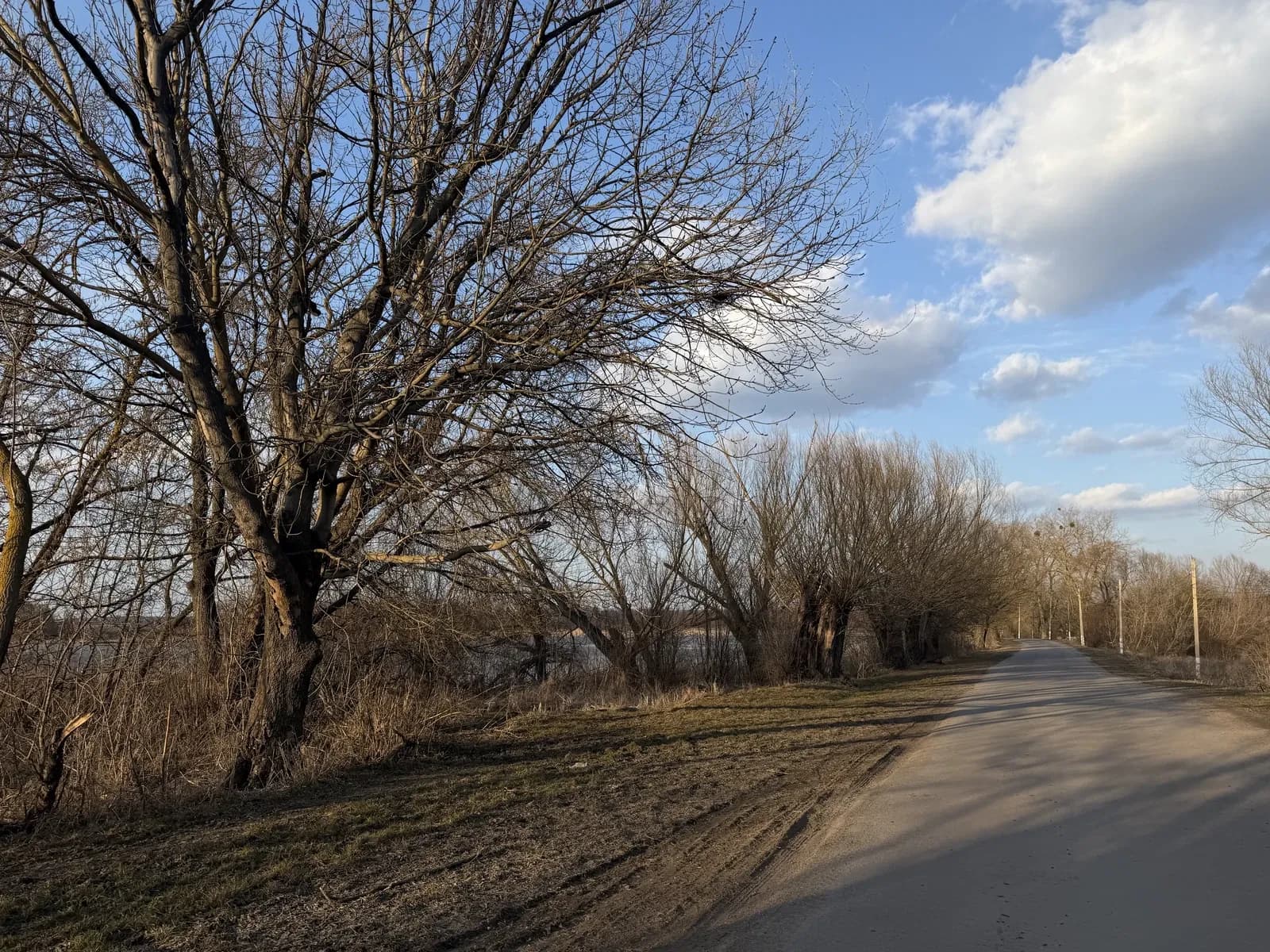 Ділянка 15 соток, Широка Гребля: вихід до озера, будинок, електрика - фото 1