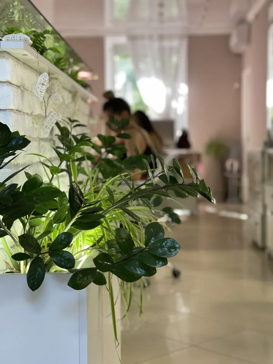 Салон, Покровський: місце біля вікна, генератор, ключовий доступ - фото 3