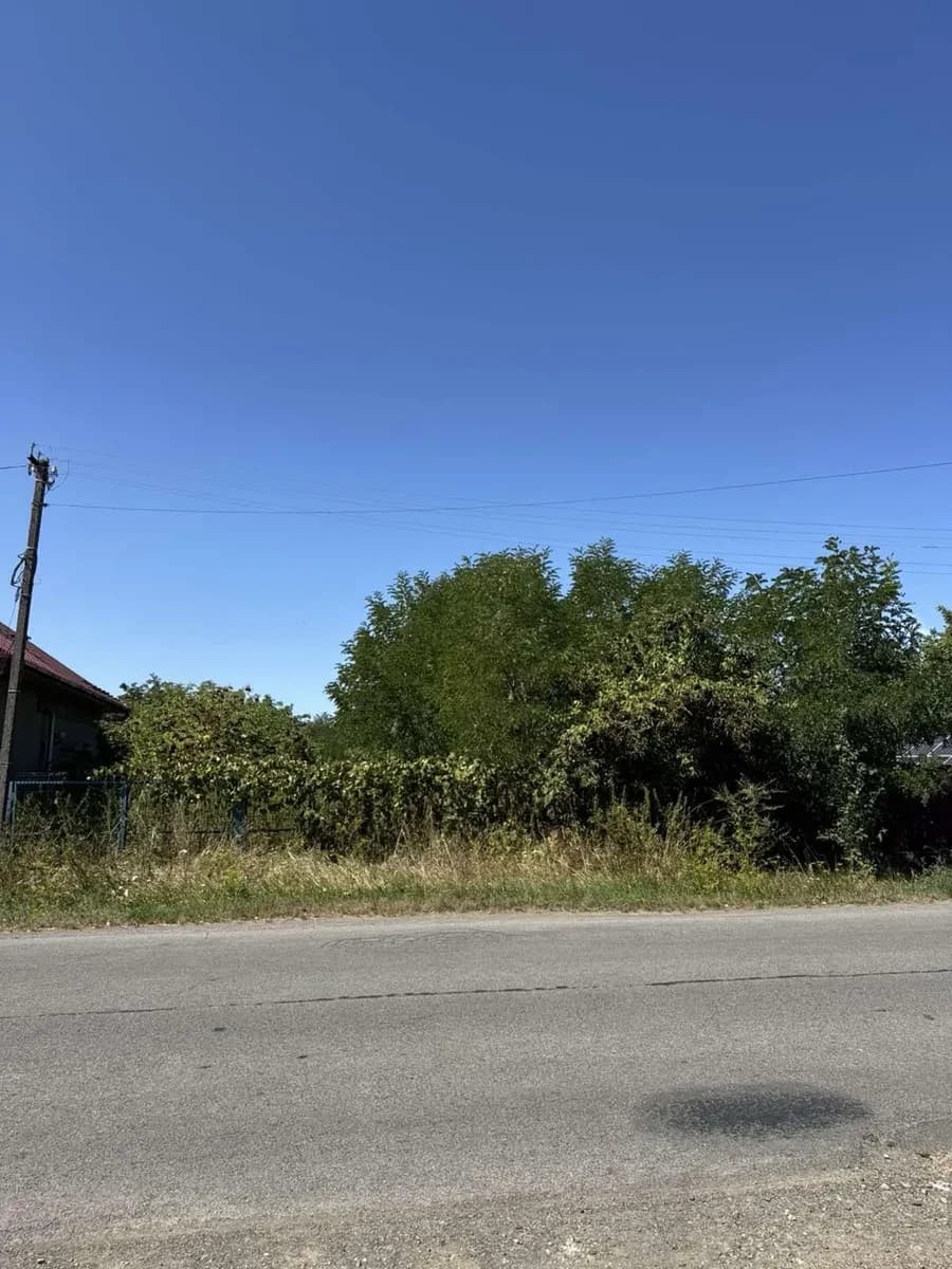 Ділянка 10 соток, Тарнівці: комунікації на ділянці, асфальтована дорога - фото 2