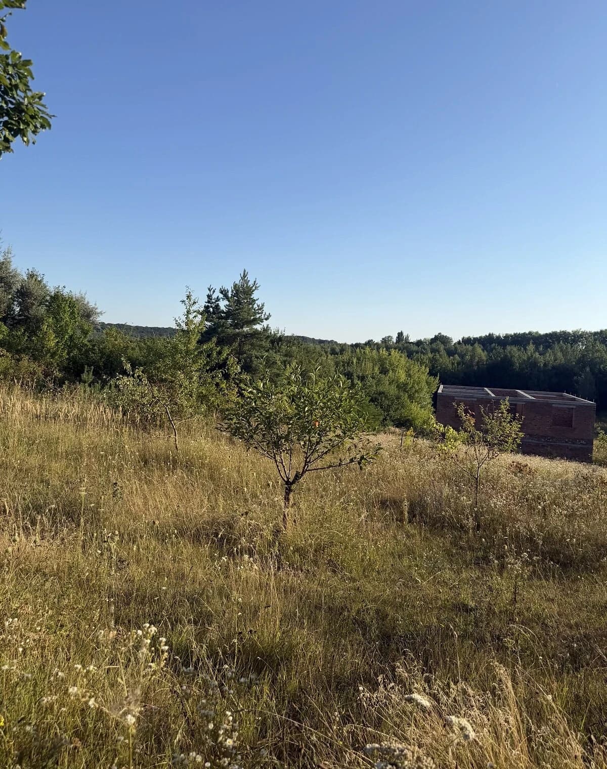 Будинок, Стуфчинці: новобудова, торг можливий - фото 4