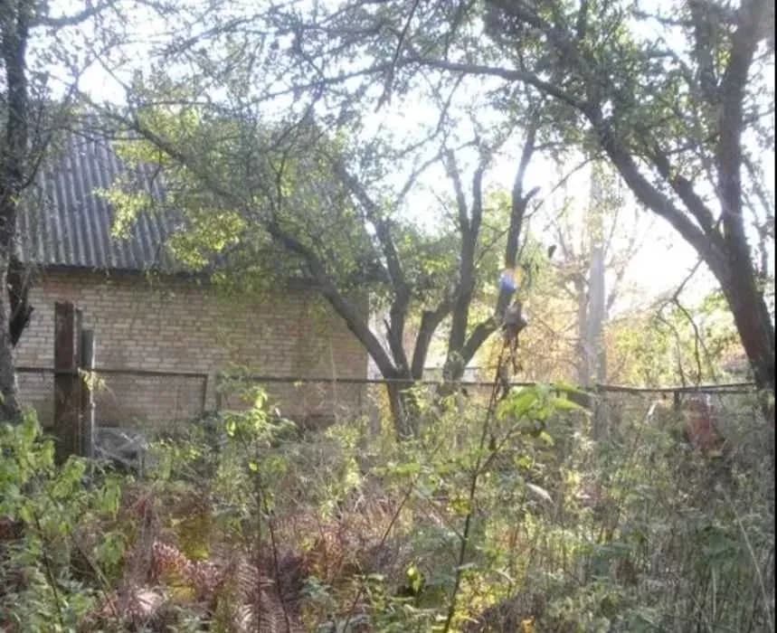 Дачний будинок, Святошинський: ліс за 100 м, метро Житомирська - фото 2