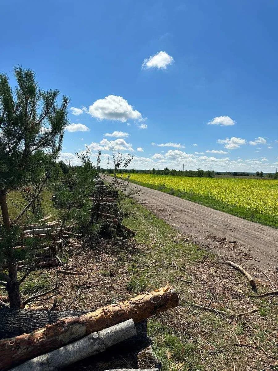 Ділянка 464 соток, Завалівка: під комплекси, 3 км ґрунтовки - фото 3