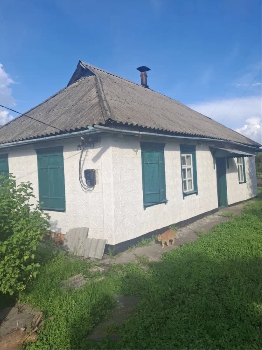 Будинок, Кременчук: гараж, 100 метрів до річки - фото 4