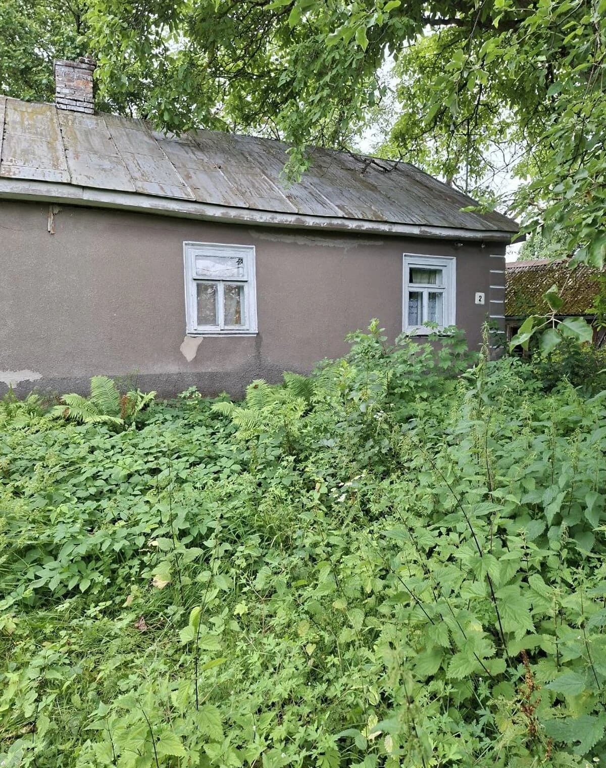 Ділянка 12 соток, Сенкевичівка: під житлову забудову, сад і паркан - фото 2