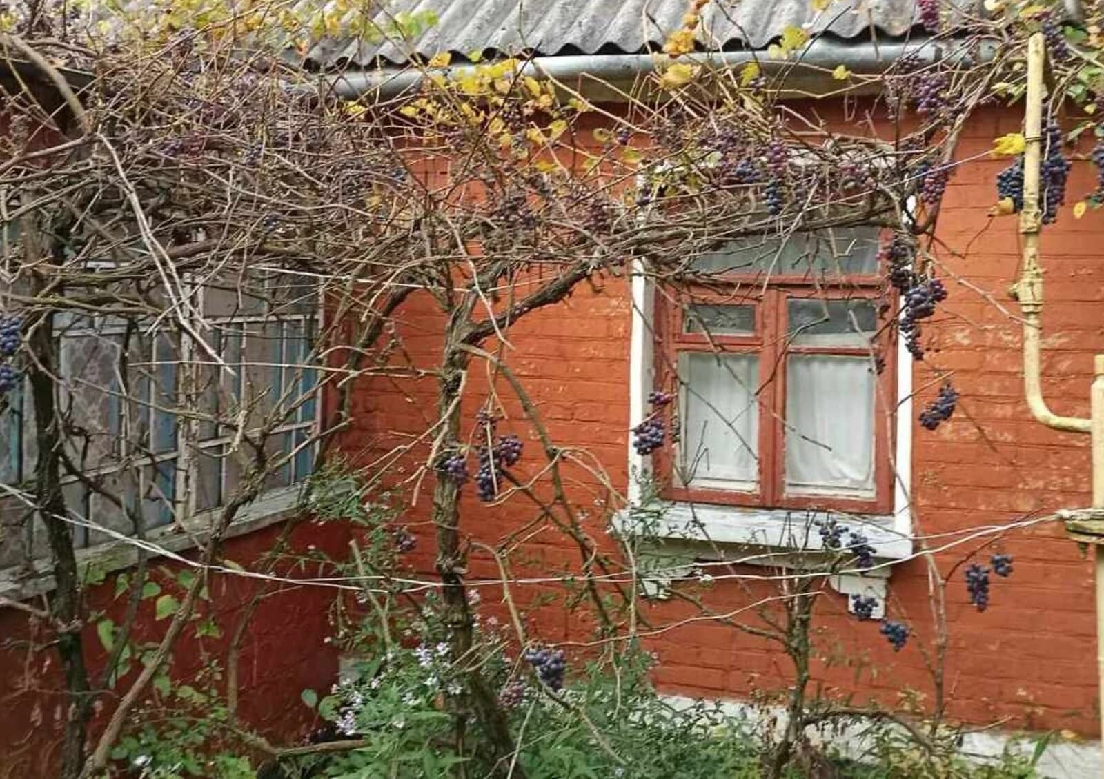 Будинок, Краснопіль: гараж, 25 соток, бесідка - фото 3