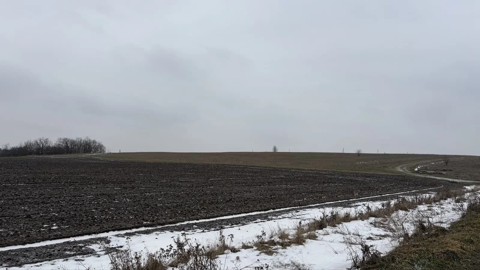 Ділянка 2400 соток, Привільне: рілля, для агропідприємства - фото 4