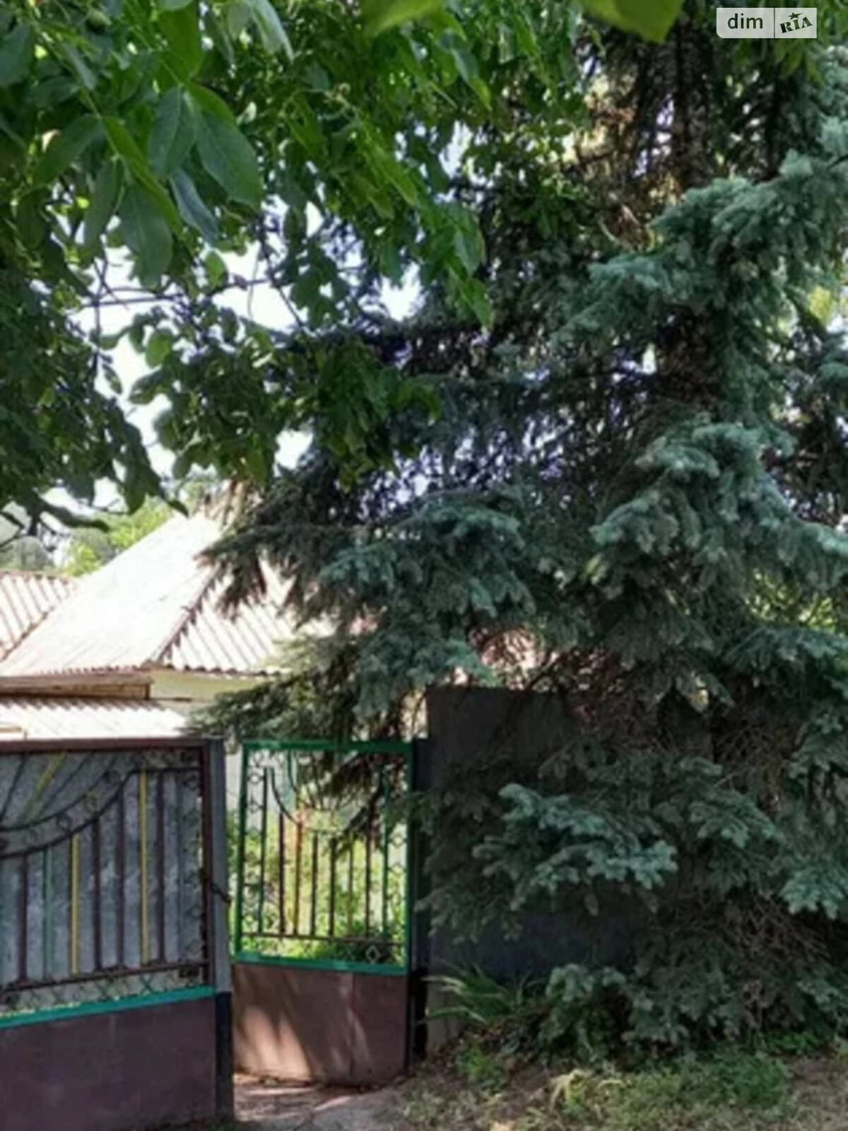 Будинок, Петрівка (Полтава): гараж із підвалом, 25 соток - фото 4