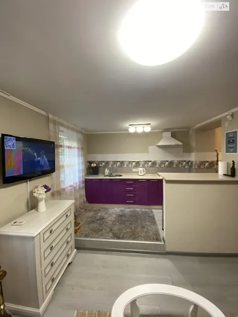 1-кімнатна квартира, Подільський: кухня-студія, єВідновлення - фото 4