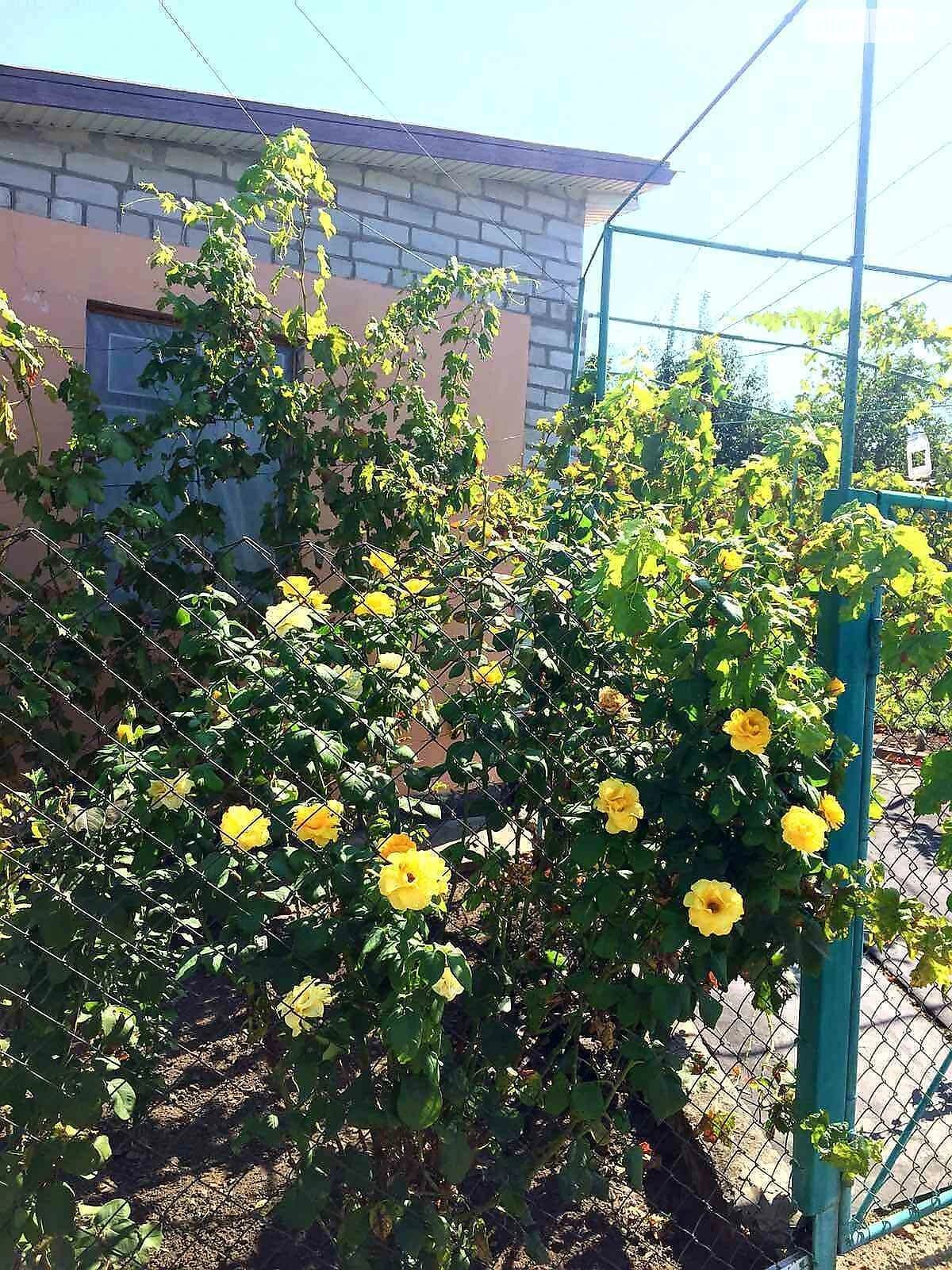 Частина будинку, Шевченківський: дача, 5 соток, розстрочка - фото 1
