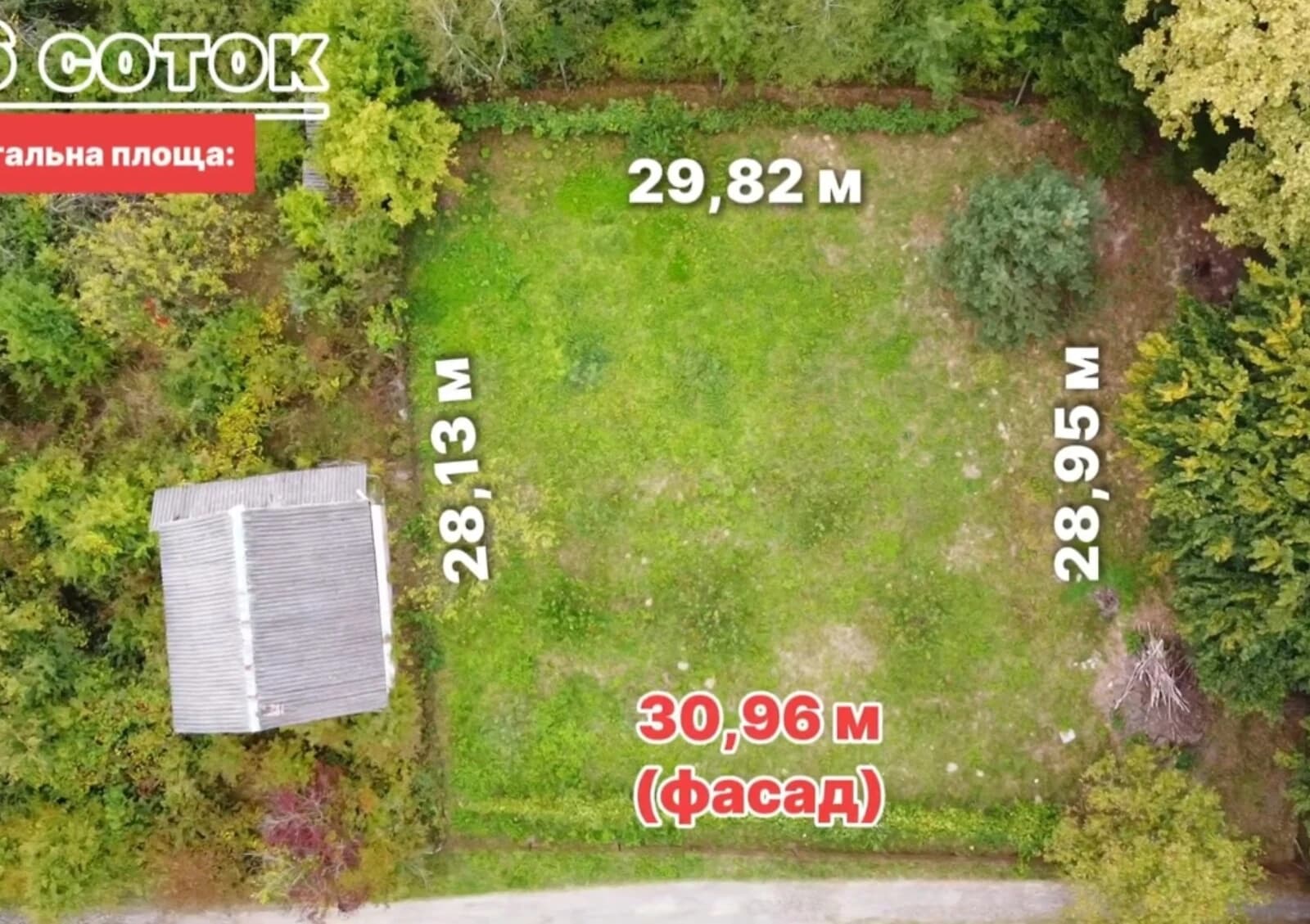 Ділянка 8.6 соток, Оріховиця: сад, виноградник, паркан - фото 2