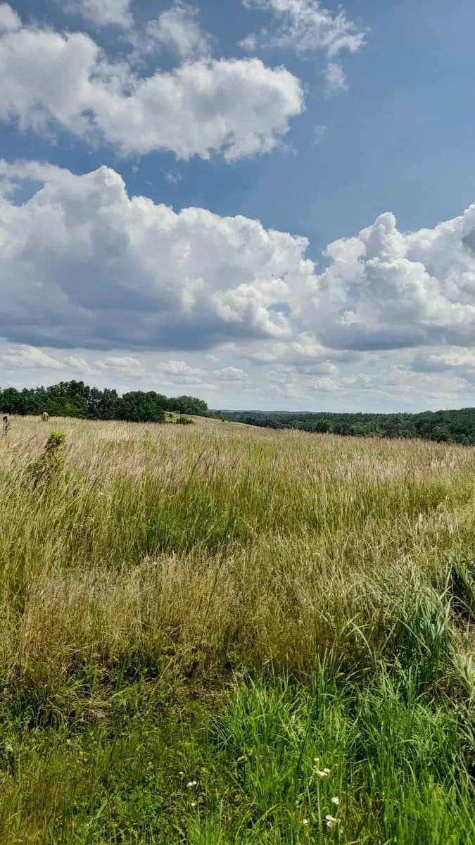 Ділянка 0,10 соток, Ржищів: під забудову, біля лісу - фото 2