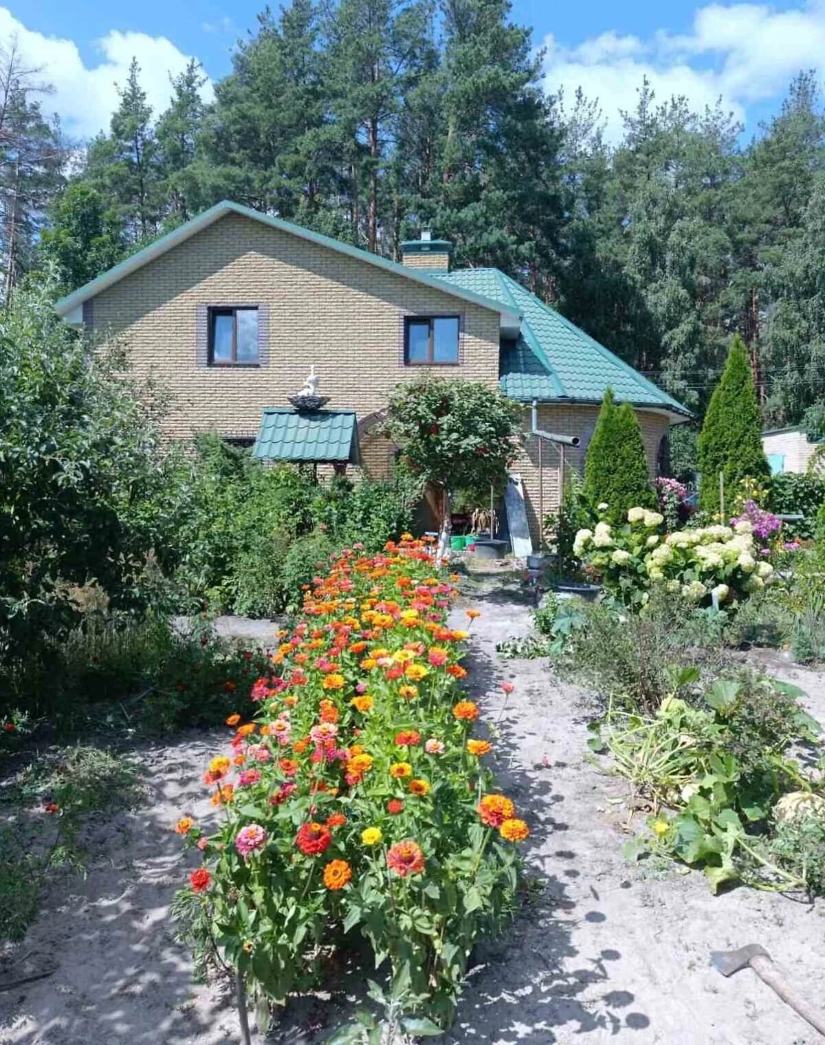 Будинок, Блиставиця: бесідка, 23 сотки, резервне живлення - фото 1
