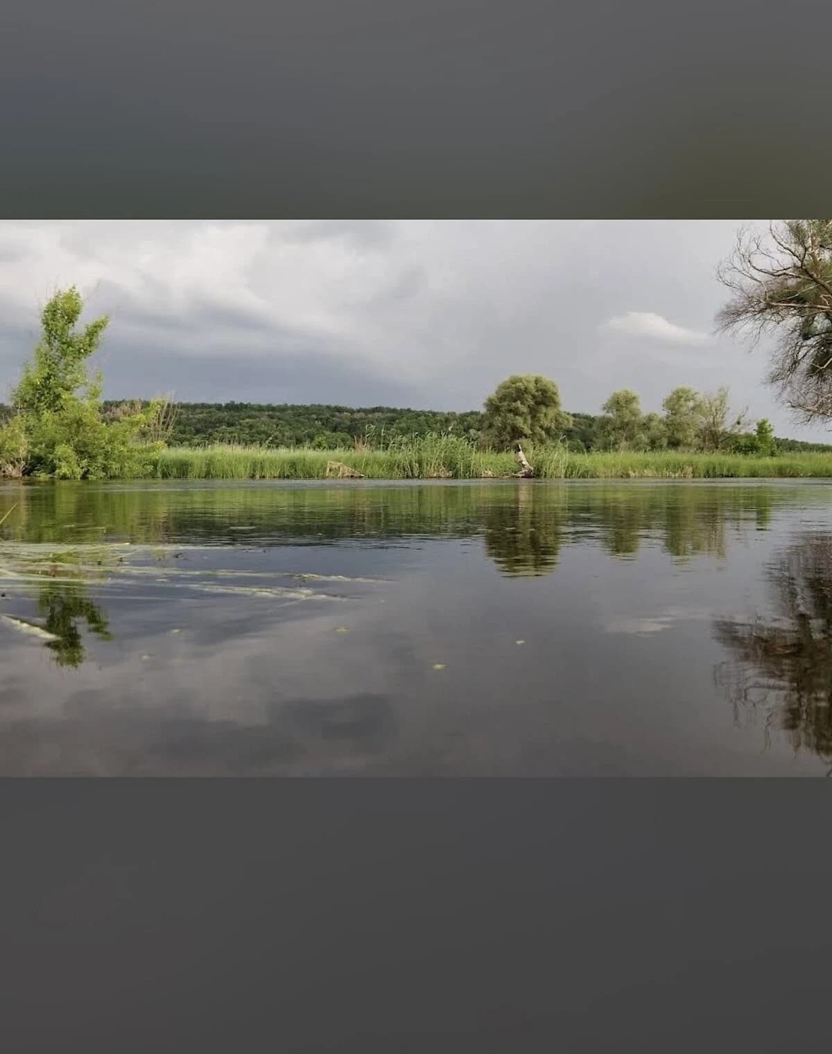 Ділянка 25 соток, Черкаський Бишкин: під житлову забудову, під гараж - фото 1