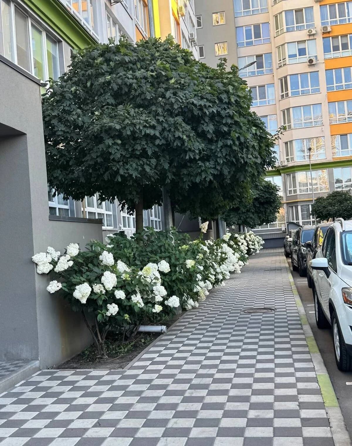 2-кімнатна квартира, Крюківщина: кухня-студія, газове опалення - фото 2