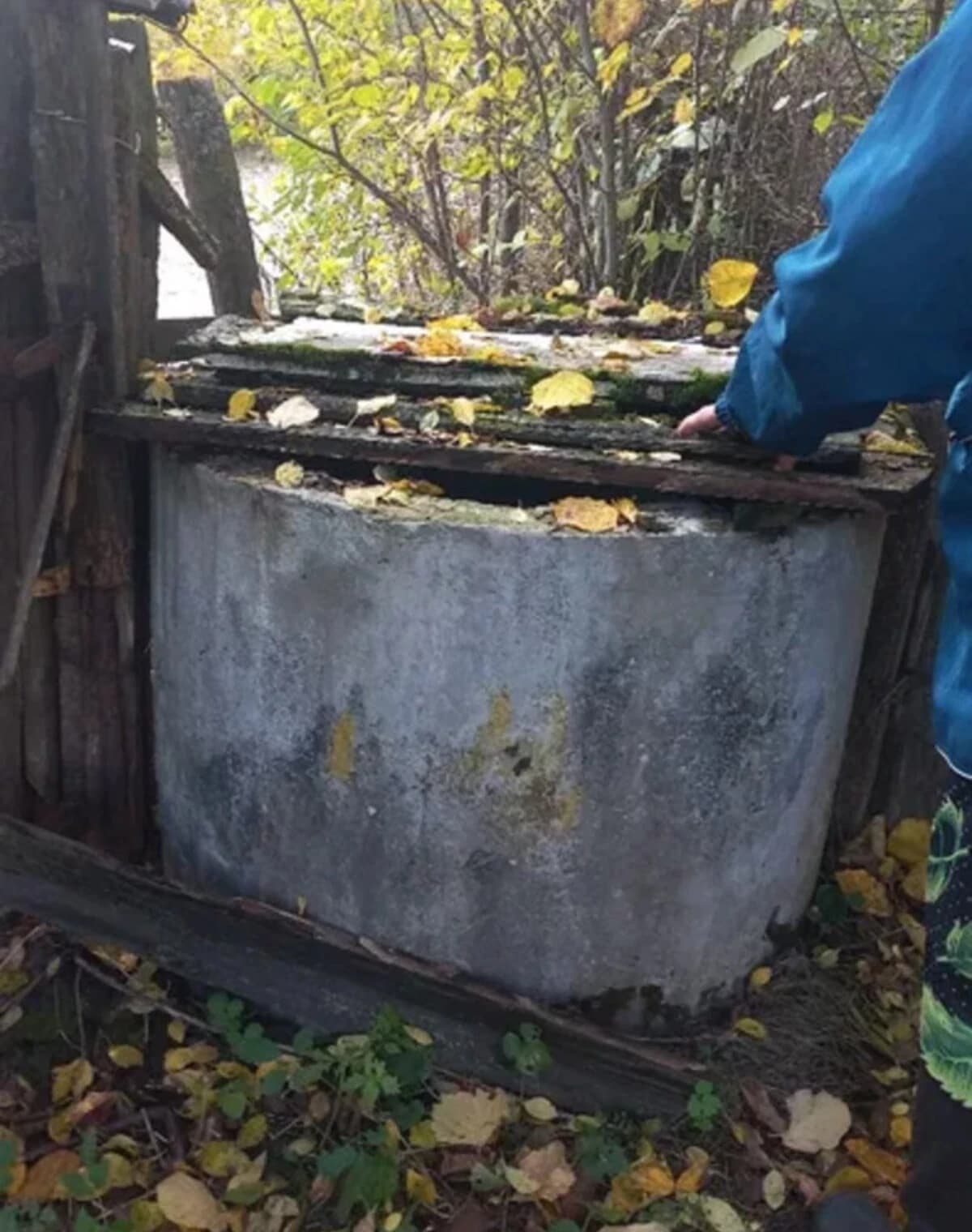 Будинок, Стольне: криниця, господарські будівлі, туалет на території - фото 2