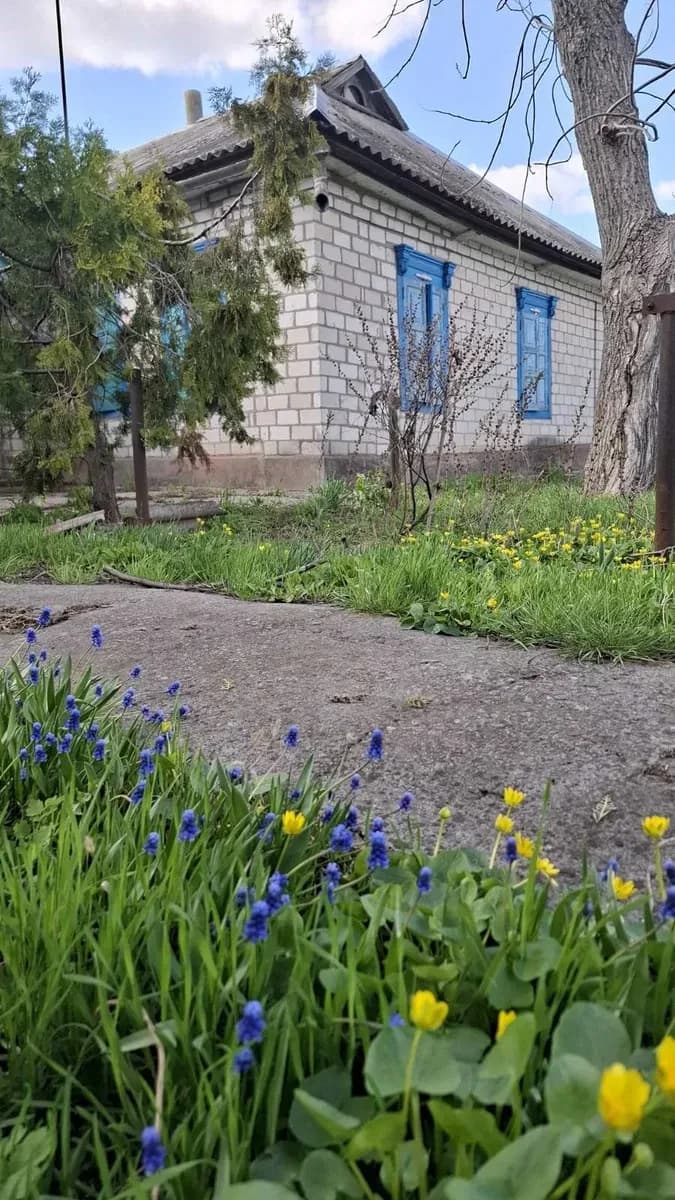 Будинок, Нова Знам'янка: 34 сотки, сад, погріб - фото 4