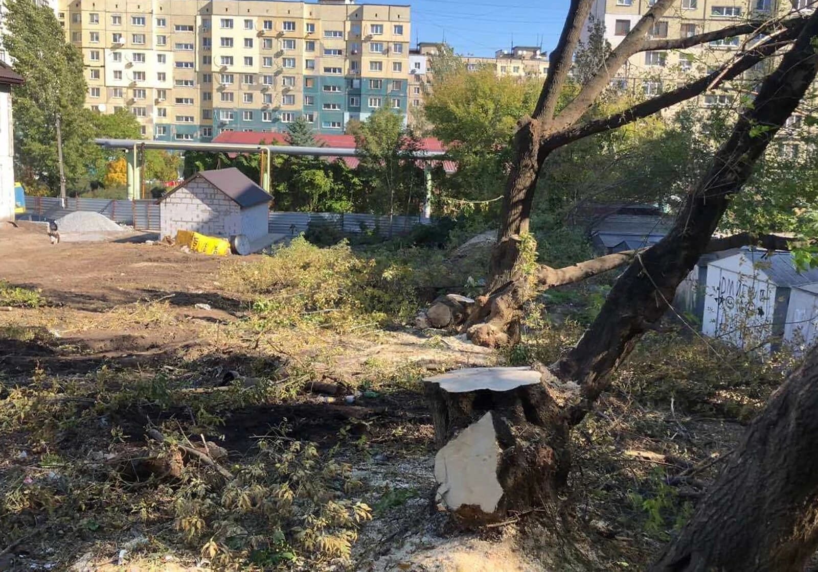 Ділянка 10 соток, Перемога-5: фасадно-кутова, біля школи - фото 4
