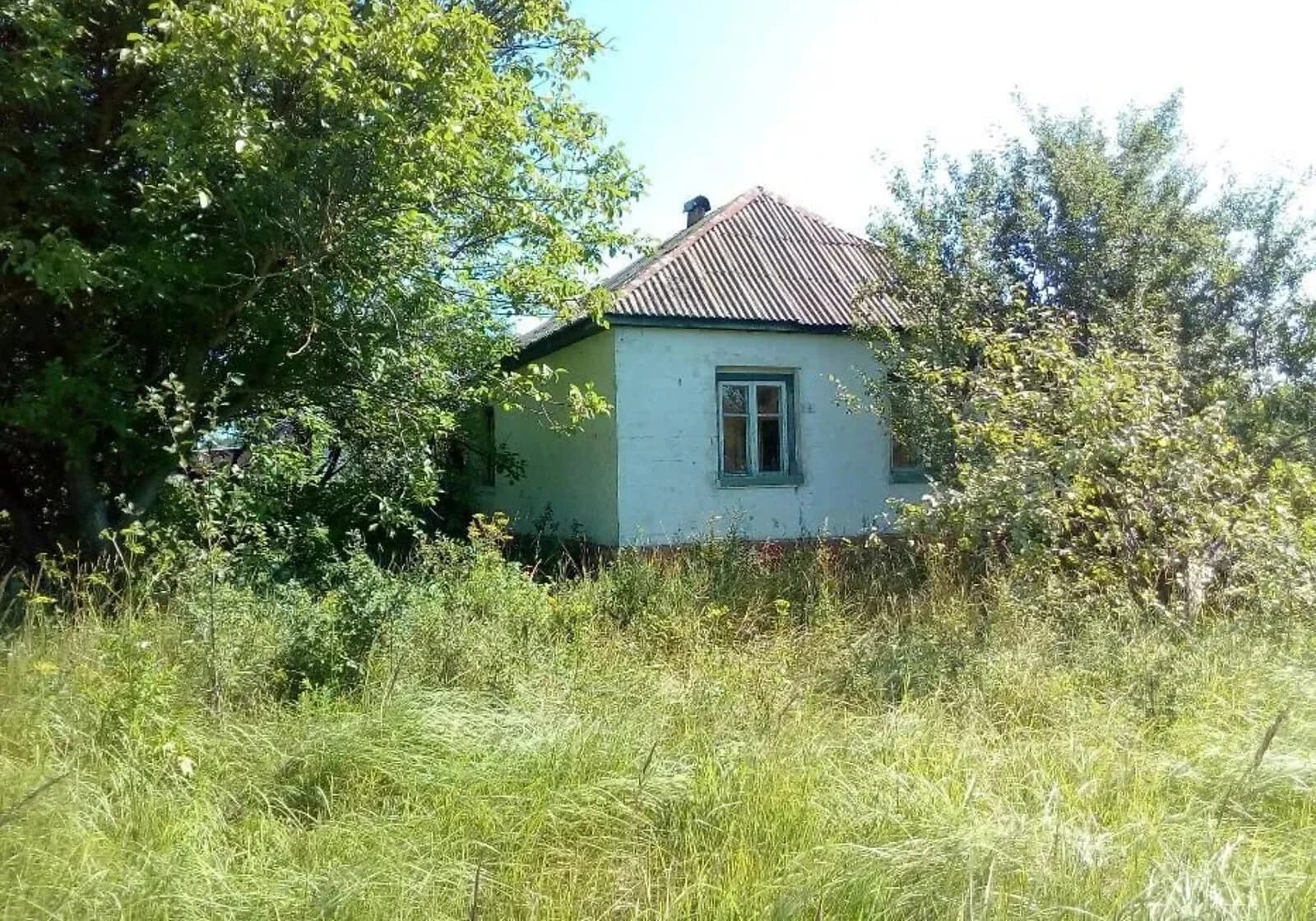 Будинок, Браниця: гараж, літня кухня, цегляні стіни - фото 1