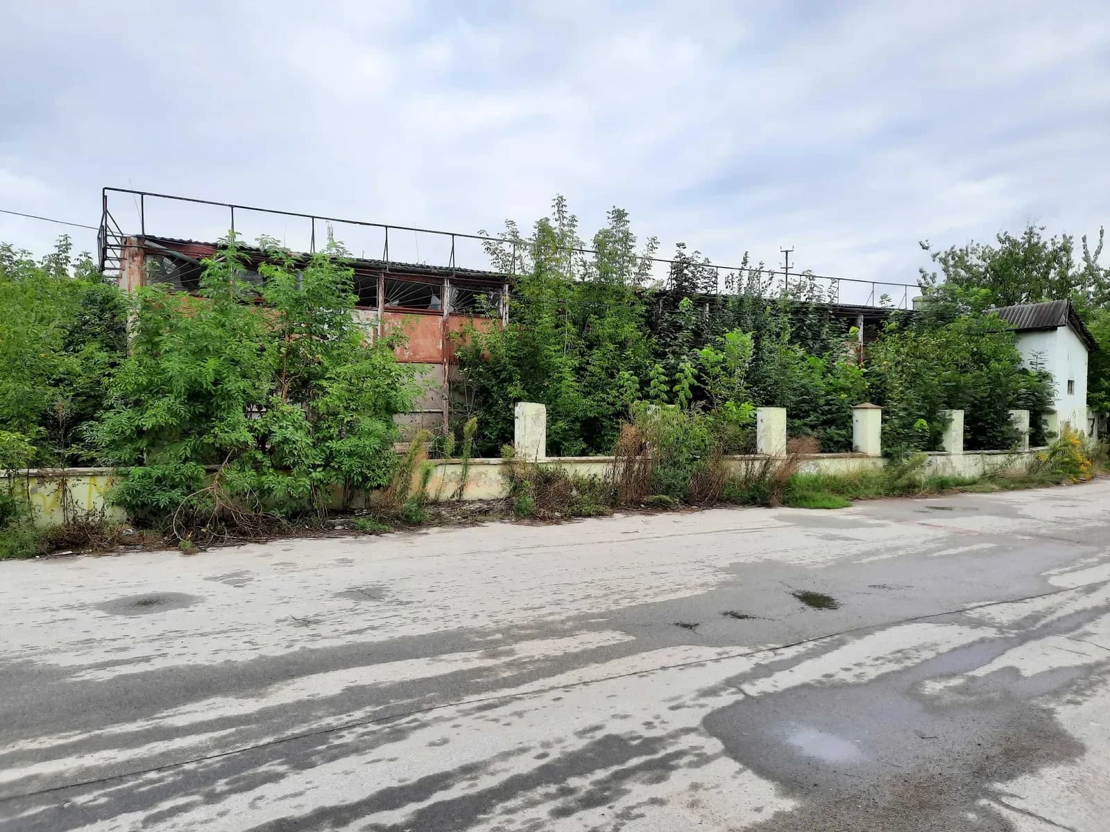 Магазин у центрі Садгори: склад 700 м², 18 соток - фото 1