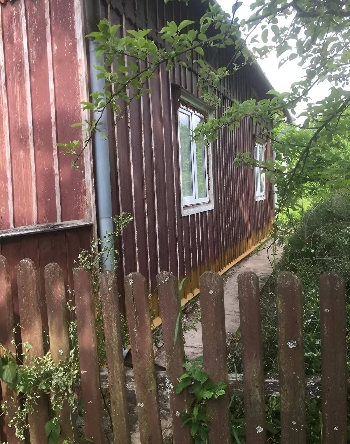 Будинок, Їжівці: пічне опалення, сад і господарські будівлі - фото 3