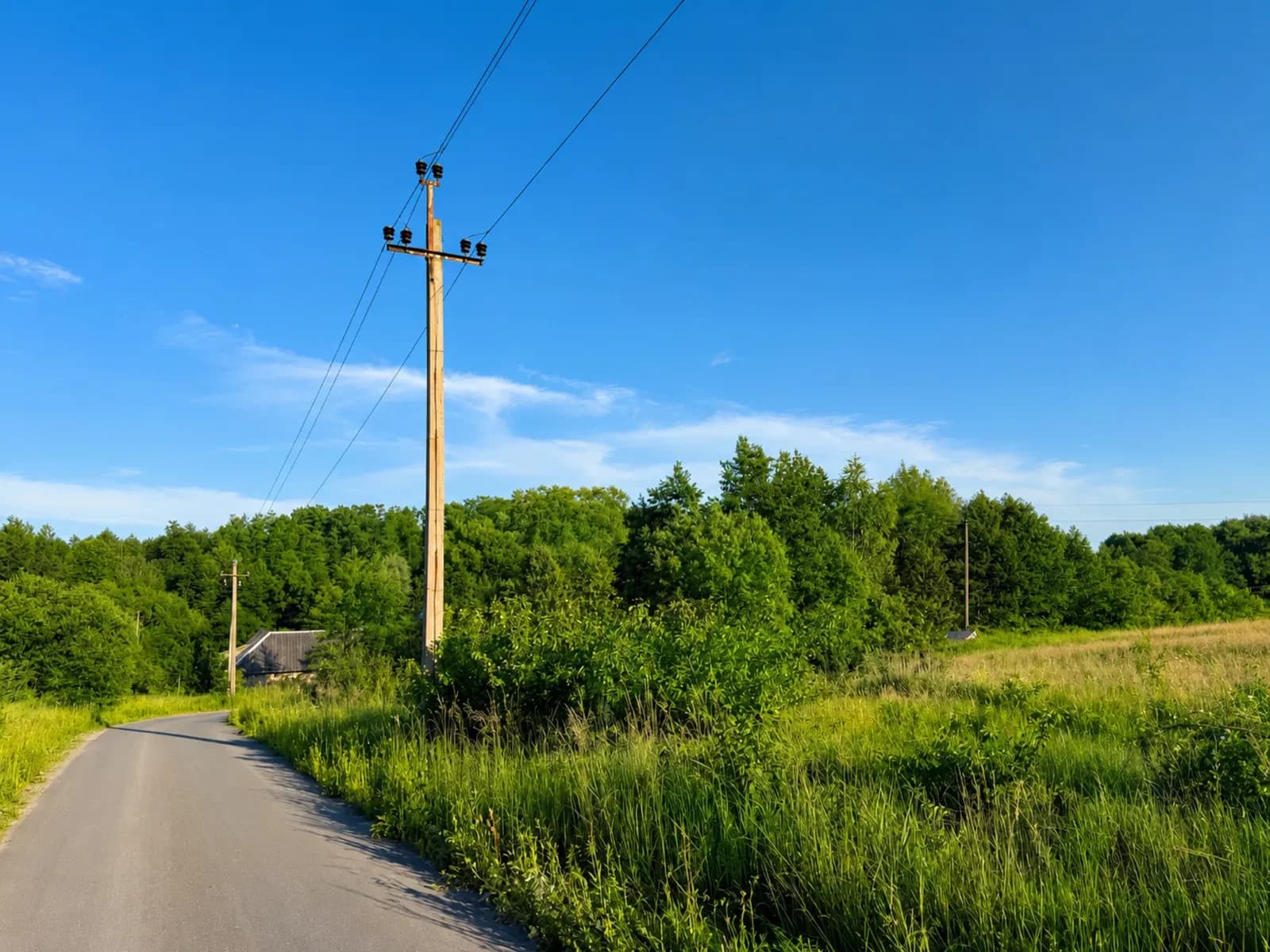 Ділянка 12 соток, Хоросно: під житлове будівництво, газ і електрика - фото 3
