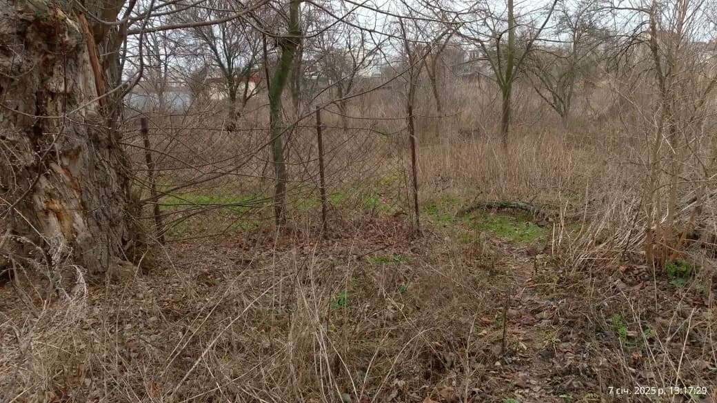 Дачна ділянка, Центральний: ліс, озерце, для пасіки - фото 3