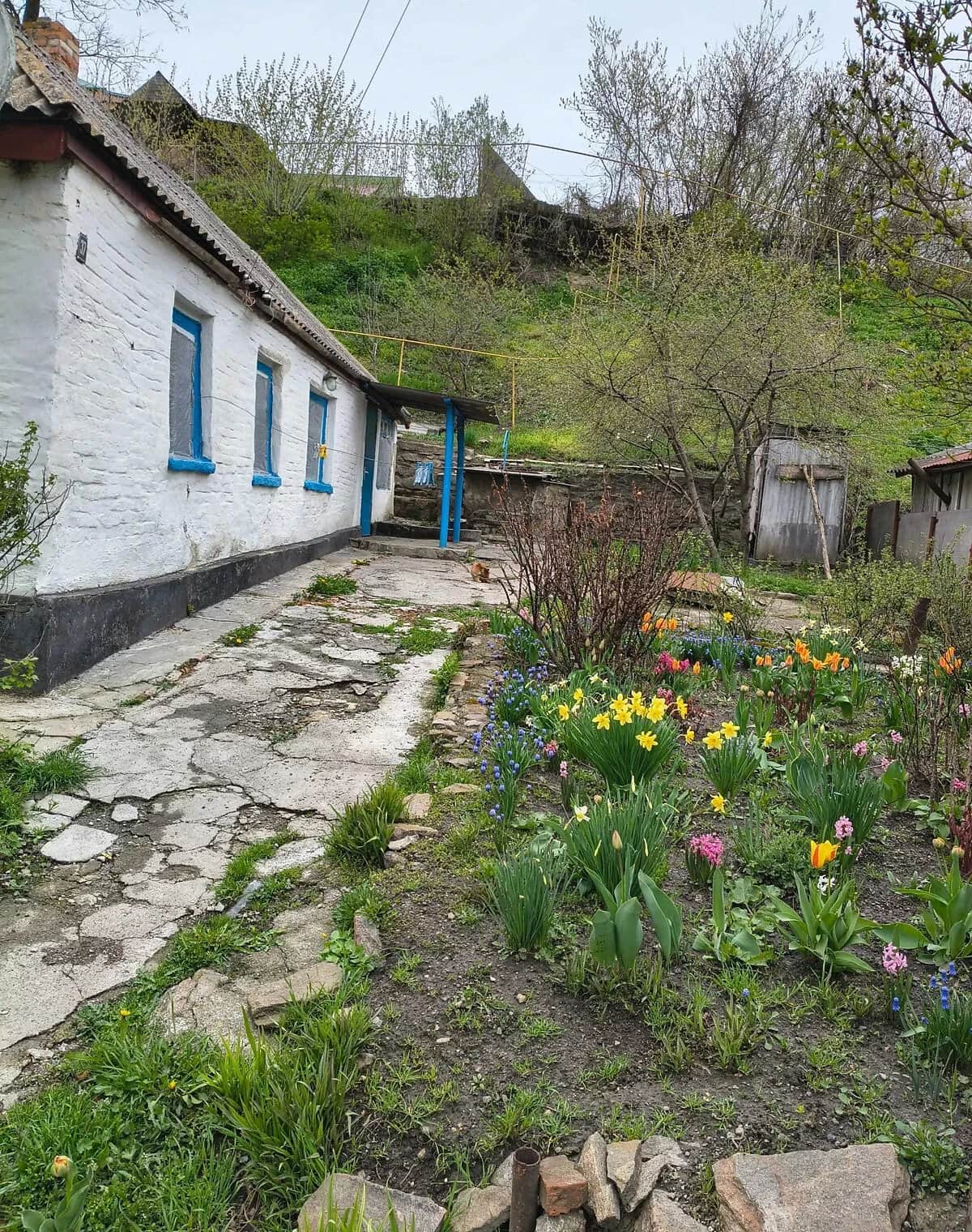 Будинок, Тальне: опалення, баня / сауна, сарай - фото 2