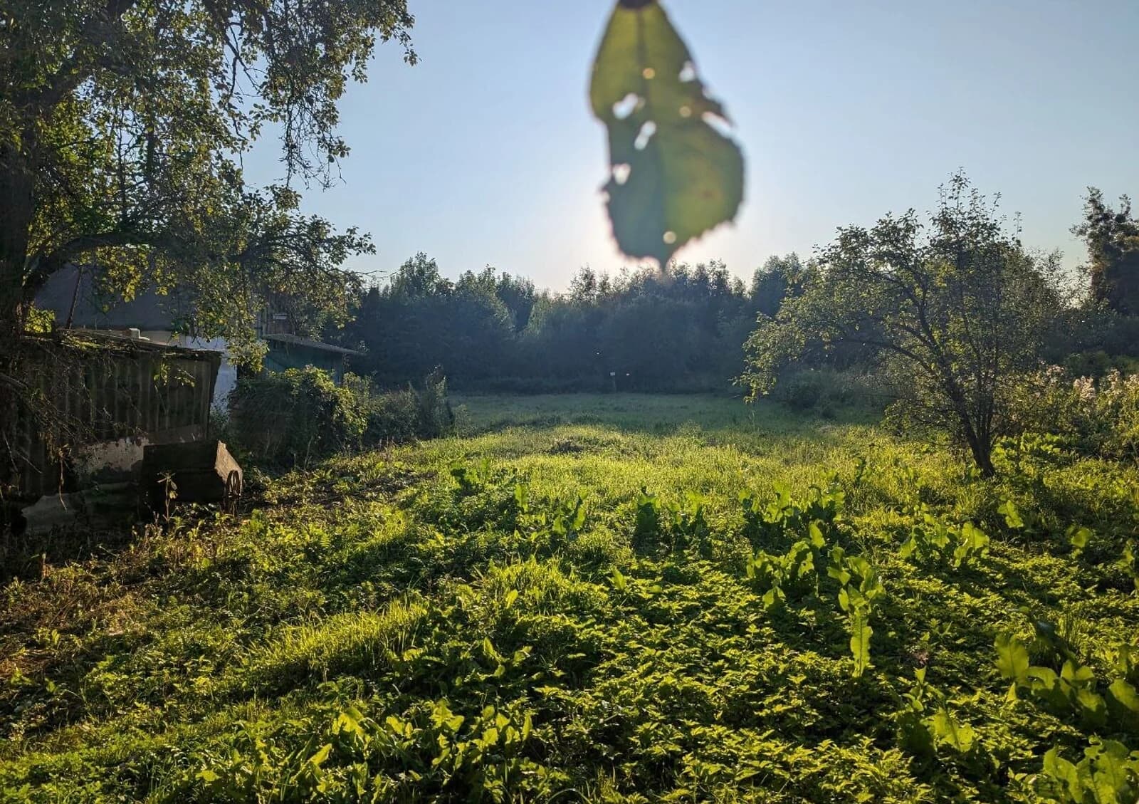 Ділянка 20 соток, Звягель: під житлову забудову, під гараж, торг - фото 4