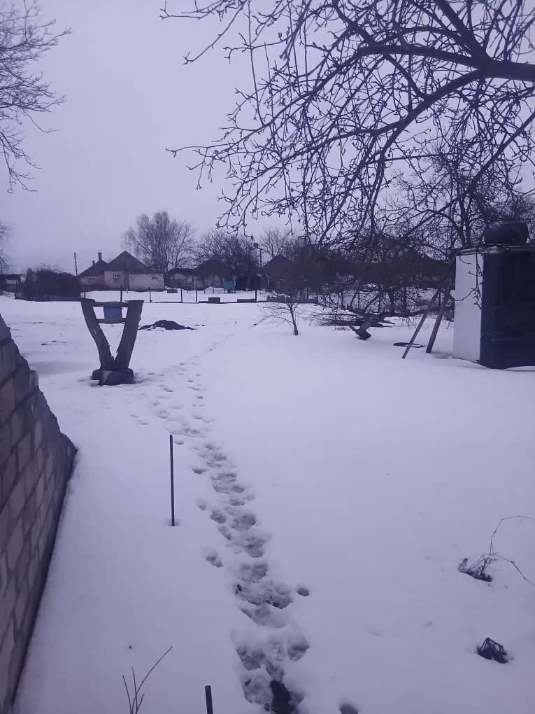 Будинок, Руська Поляна: 14 соток, поруч ліс, від забудовника - фото 3