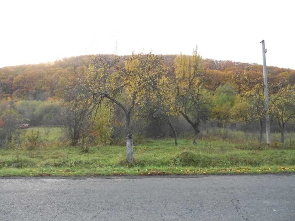 Ділянка 95 соток, Ужгородський: свердловина, під аквапарк - фото 1