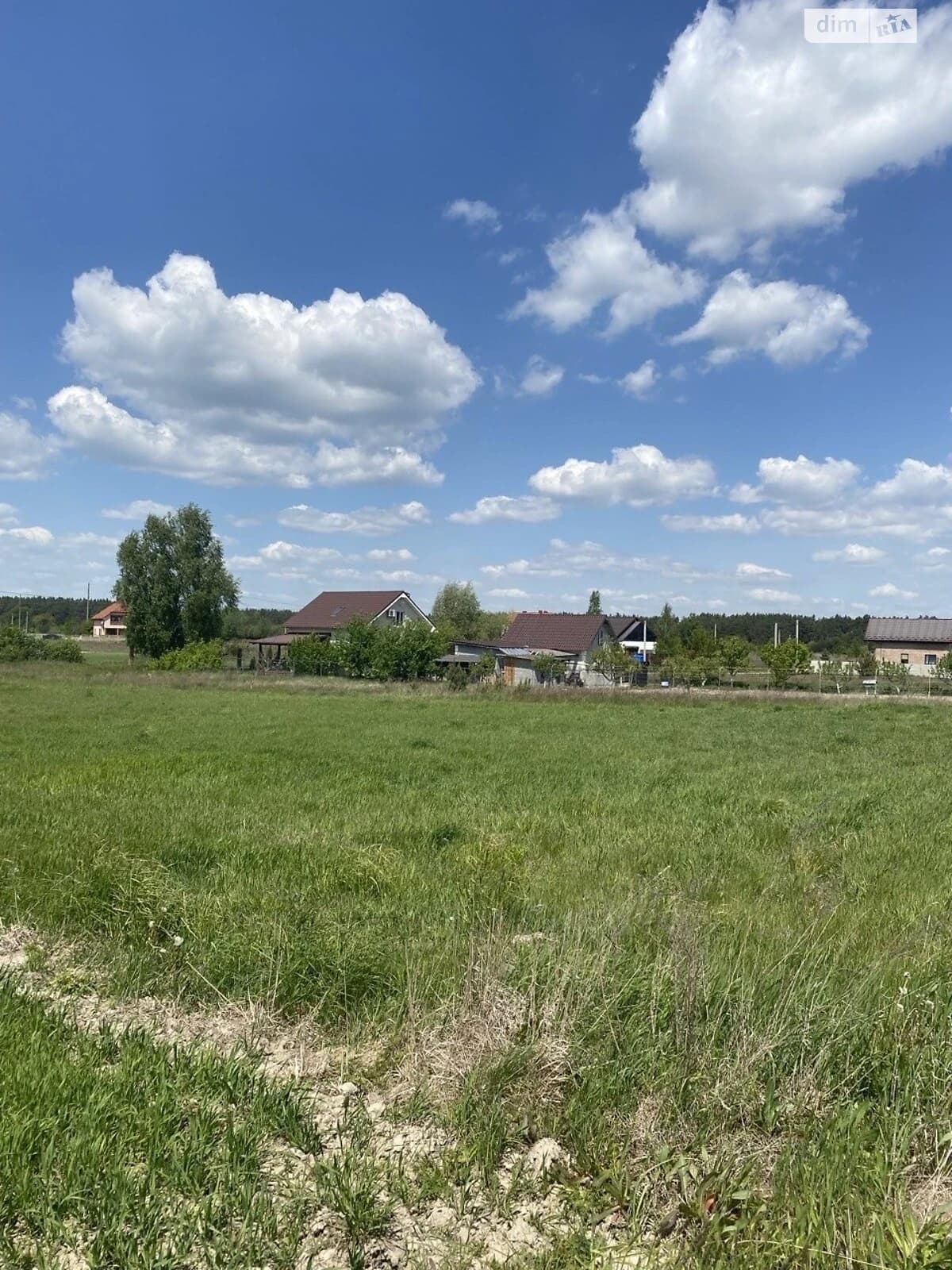 Ділянка 23.88 соток, Забороль: житлова забудова, фундамент, електрика - фото 2
