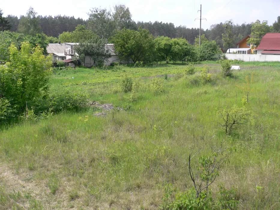 Ділянка 25 соток, Гнідин: будинок 100 м², 3 км від Києва - фото 2