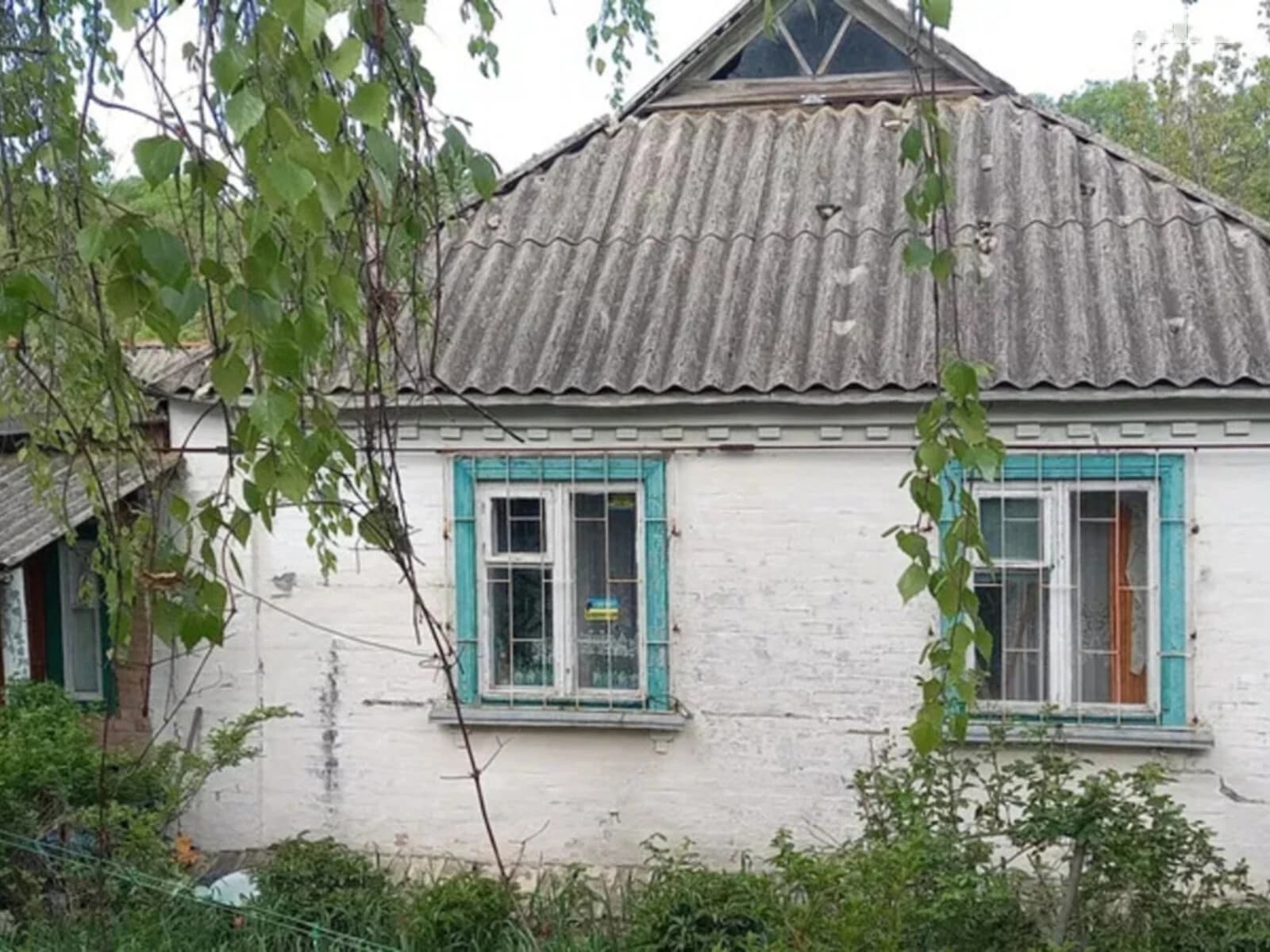 Будинок, Петрівка (Полтава): гараж із підвалом, 25 соток - фото 2