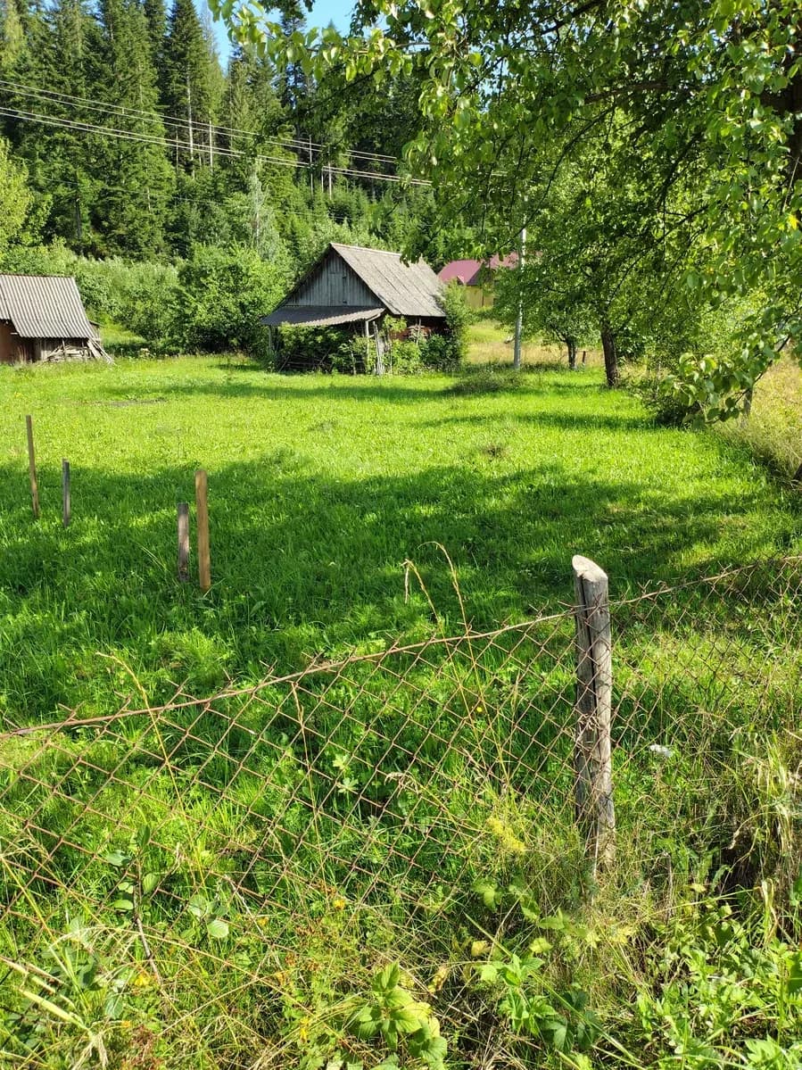 Ділянка 19.5 соток, Микуличин: ліс, Прут, 1.2 км до Н-09 - фото 4
